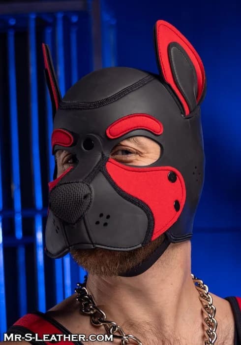 Cagoule Frisky Pup Néoprène