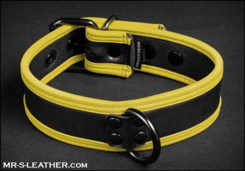 Collier Puppy Néoprène