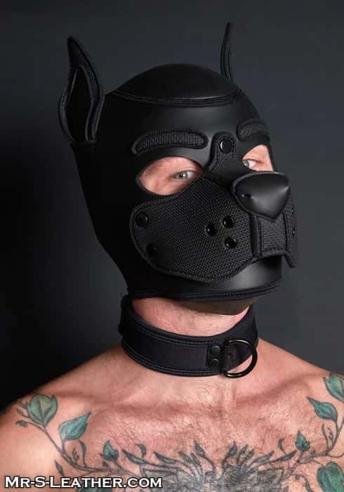 Collier Puppy Néoprène Carbon Black — Mr. S Leather